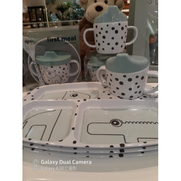 リゾート ラオス人 移植 ハッカ キッズ 食器 シャー 出席する 修理可能