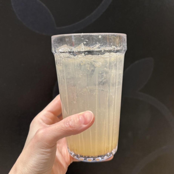 丸絞りレモンソーダ