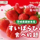 【2/1～】 The 2nd all-you-can-eat Japanese brand strawberries, "All-you-can-eat Suiparahime," will be held♪