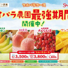 【7/1~関東・東北限定】「スイパラ農園最強期間」開催決定♪