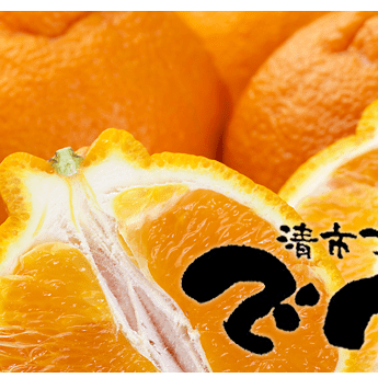 甘くてジューシー！熊本県産 不知火（でこぽん）提供開始