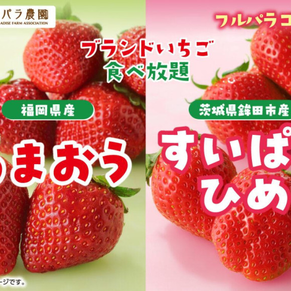 【3/8～】「あまおうすいぱらひめ食べ放題」開催決定！いちごの王様「あまおう」が食べ放題に仲間入り♪