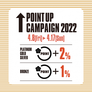 POINT UP CAMPAIGN