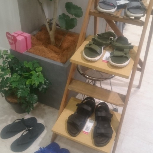 夏をまだまだ満喫したい方へ