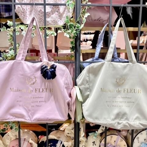 ✨コンパクトキャリーバッグ✨