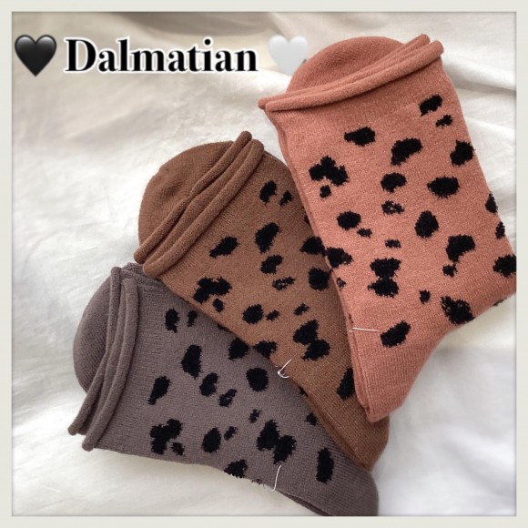 Dalmatian ＆　information