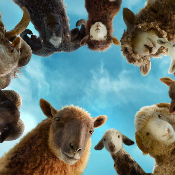 大好きなご主人が殺された！もふもふの羊たちが≪飼い主殺人事件≫の謎に挑む迷宮ミステリー！『ひつじ探偵団』５／８(金)公開予定です！