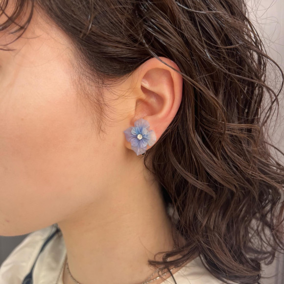 sawa ＊ 期間限定