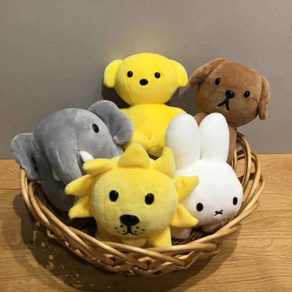 Brunaファミリー入荷しました！