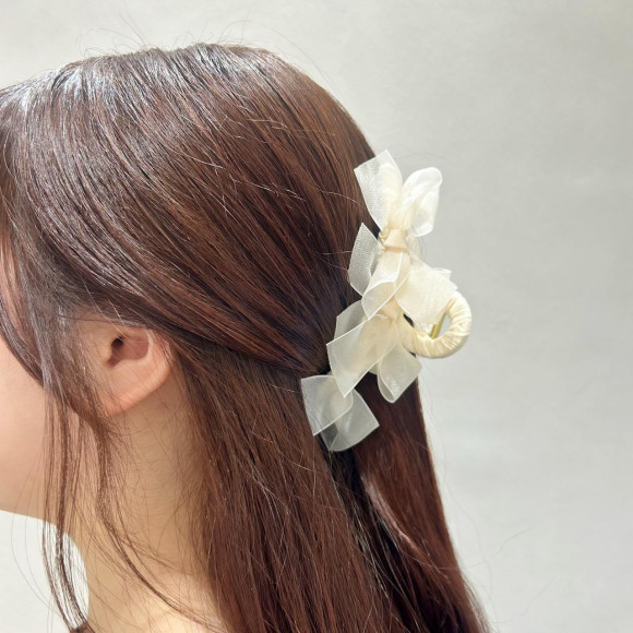 คลิปผ้าแพรโปร่งริบบิ้นการพัฒนา