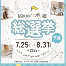 MOFFネコ総選挙始まります!
