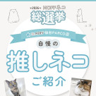 MOFFネコ総選挙 開催中!