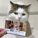 *MOFFサマースペシャルクーポン*