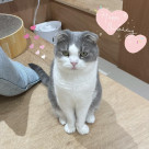 カルミアちゃんお誕生日会開催♪