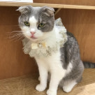 お誕生日会ありがとうございました!