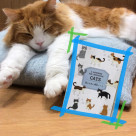 ふれあい観察ノート 発売開始!