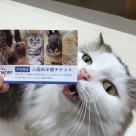 半額チケットご利用期間開始！