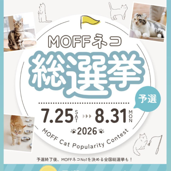 MOFFネコ総選挙始まります！