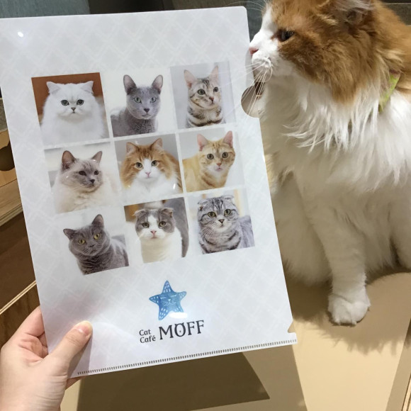 クリアファイル販売中♪