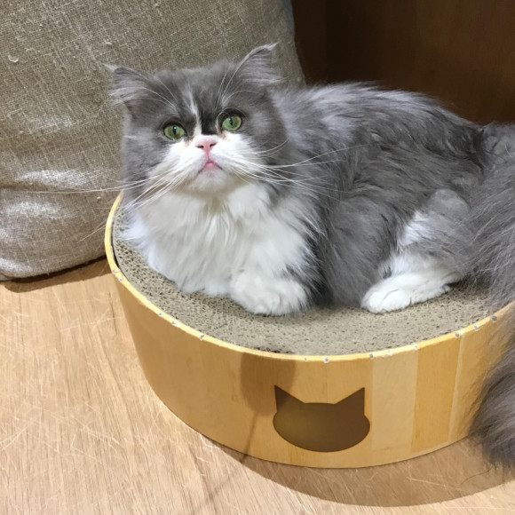 10月お誕生日会