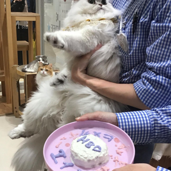 10月お誕生日会