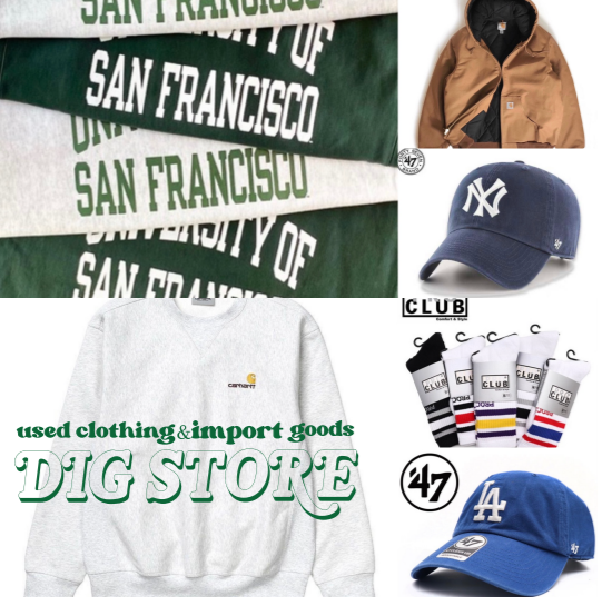 DIG STORE