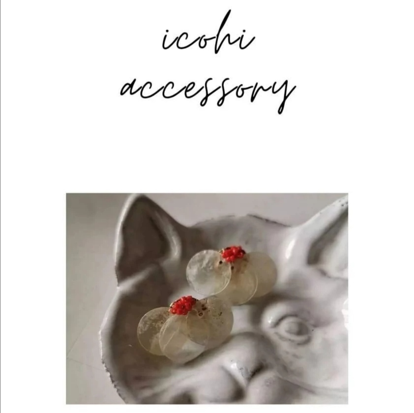 icohi accessory