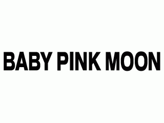 BABY PINK MOON