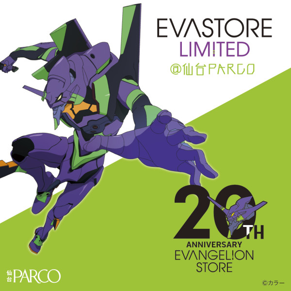 EVA STORE LIMITED