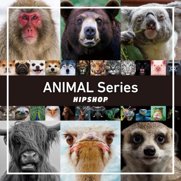 대인기!ANIMAL Series에서 신작이 입하!