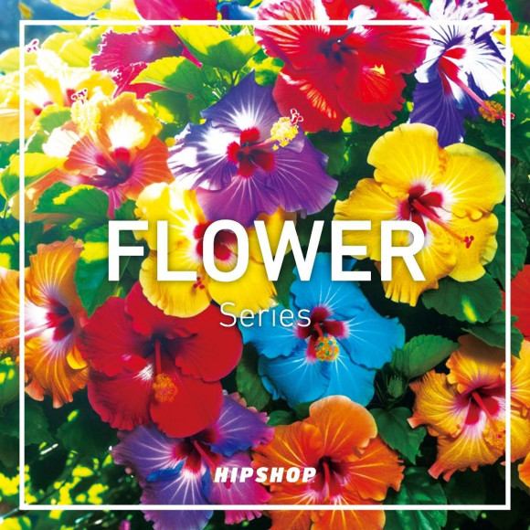 【五彩繽紛的FLOWER Series!】