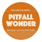 10/2(木)PITFALL WONDER vol.4 ～踏み外していこう〜　開催決定！