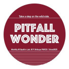 11/13(木) PITFALL WONDER vol.5 ~踏み外していこう〜 開催決定!