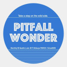 1/29(木)PITFALL WONDER vol.7 ～踏み外していこう～