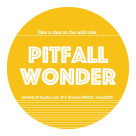PITFALL WONDER vol.12 ～踏み外していこう〜