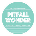 10/9(金)PITFALL WONDER vol.13 ～踏み外していこう〜　開催決定！