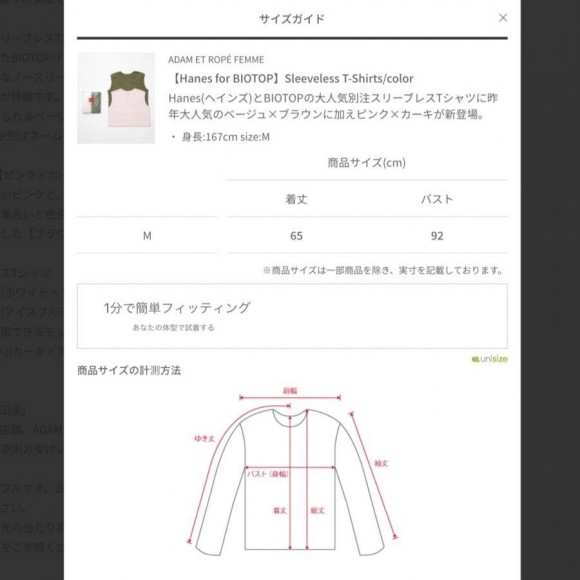 Hanes for BIOTOP】ビオトープ別注 ヘインズ Sleeveless T-Shirts ...