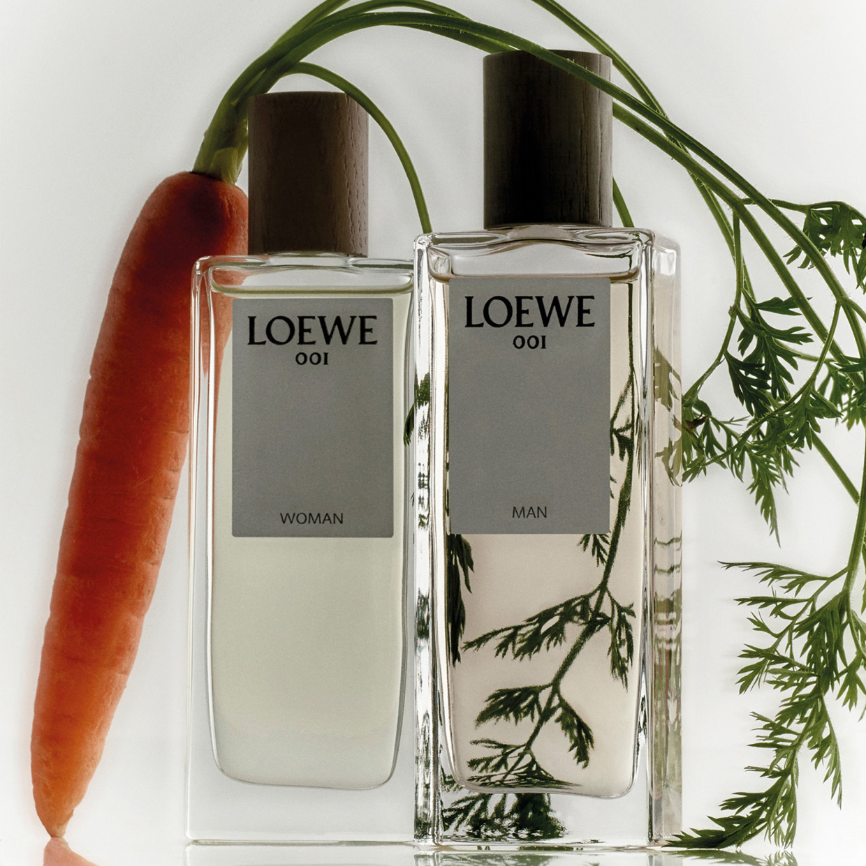 LOEWE Perfumes