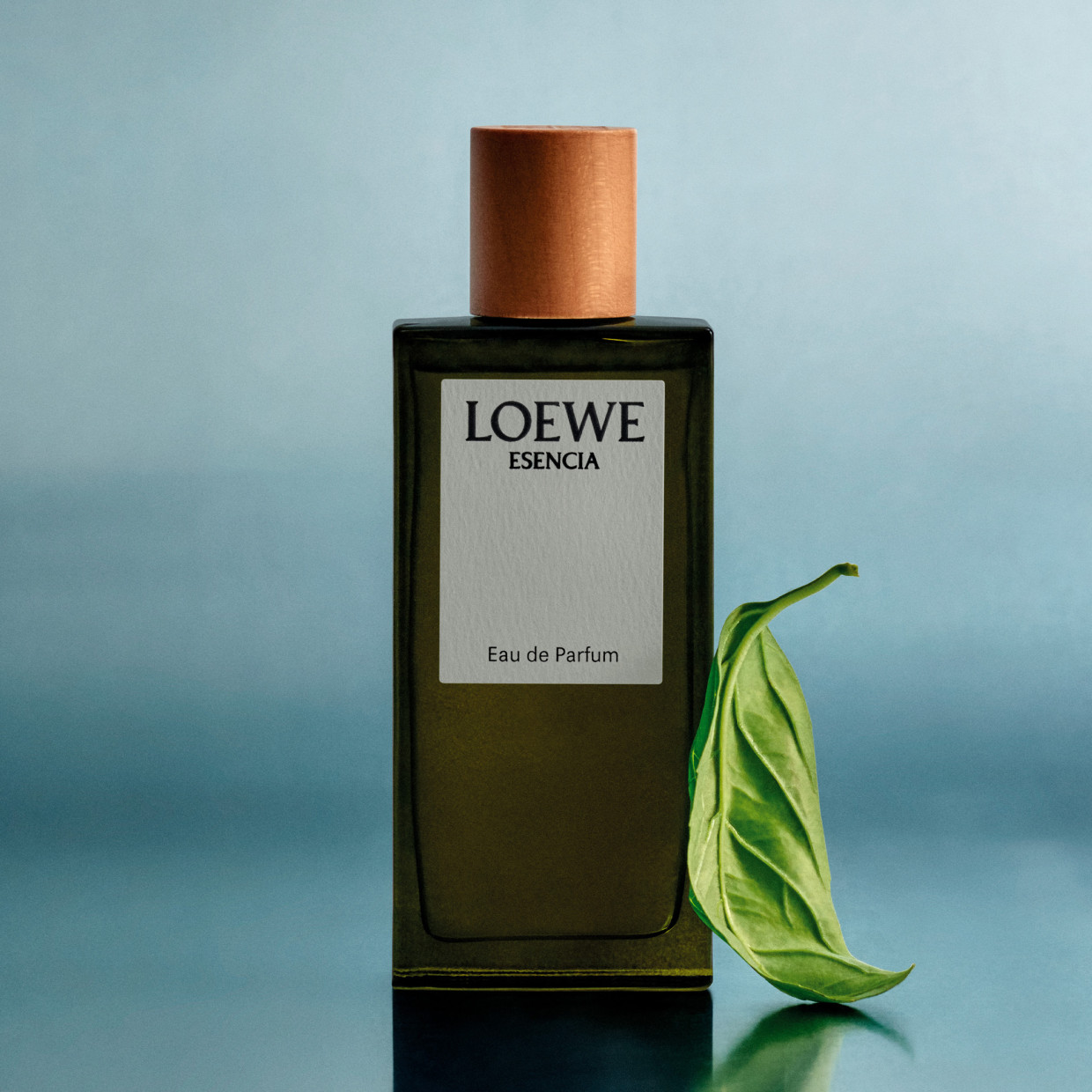 LOEWE Perfumes