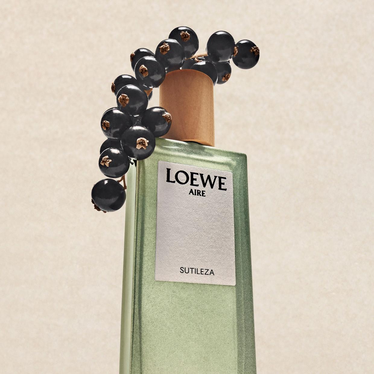 LOEWE Perfumes