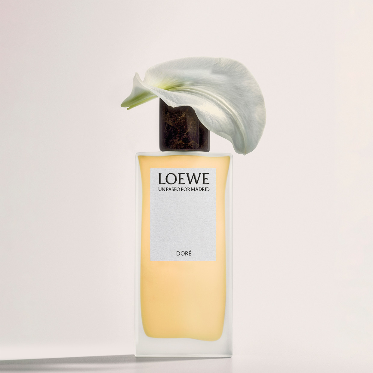LOEWE Perfumes