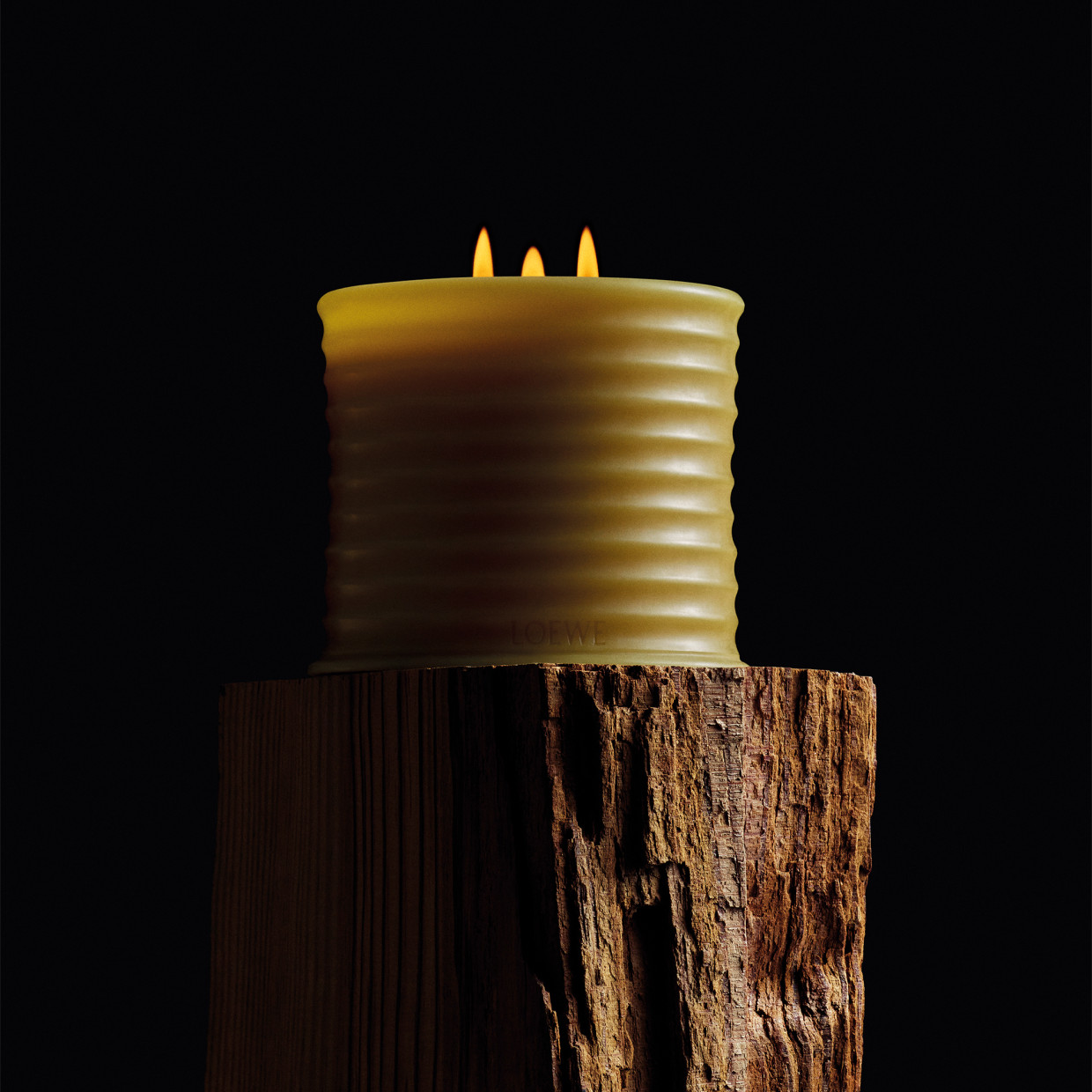 LOEWE Perfumes