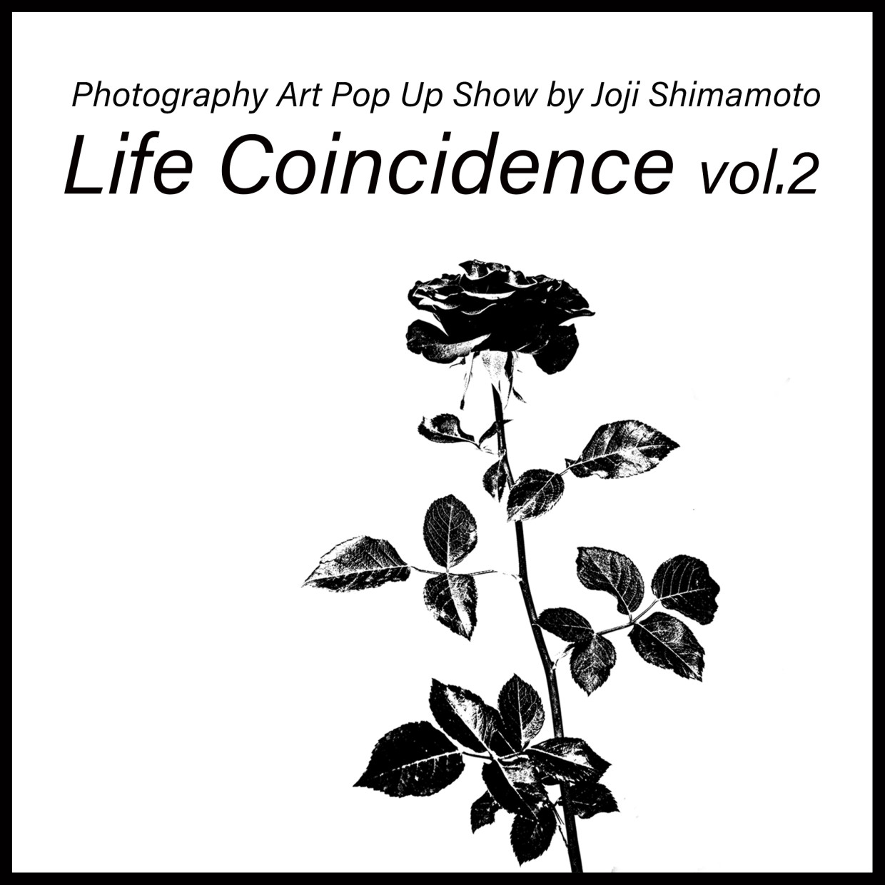 Life Coincidence vol.2 인생의 우연