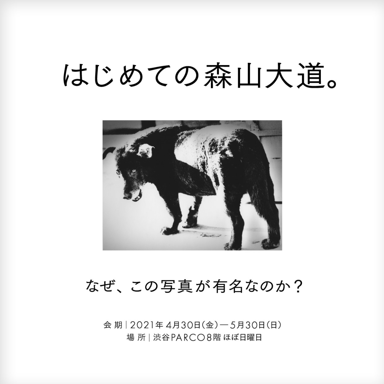 はじめての森山大道。