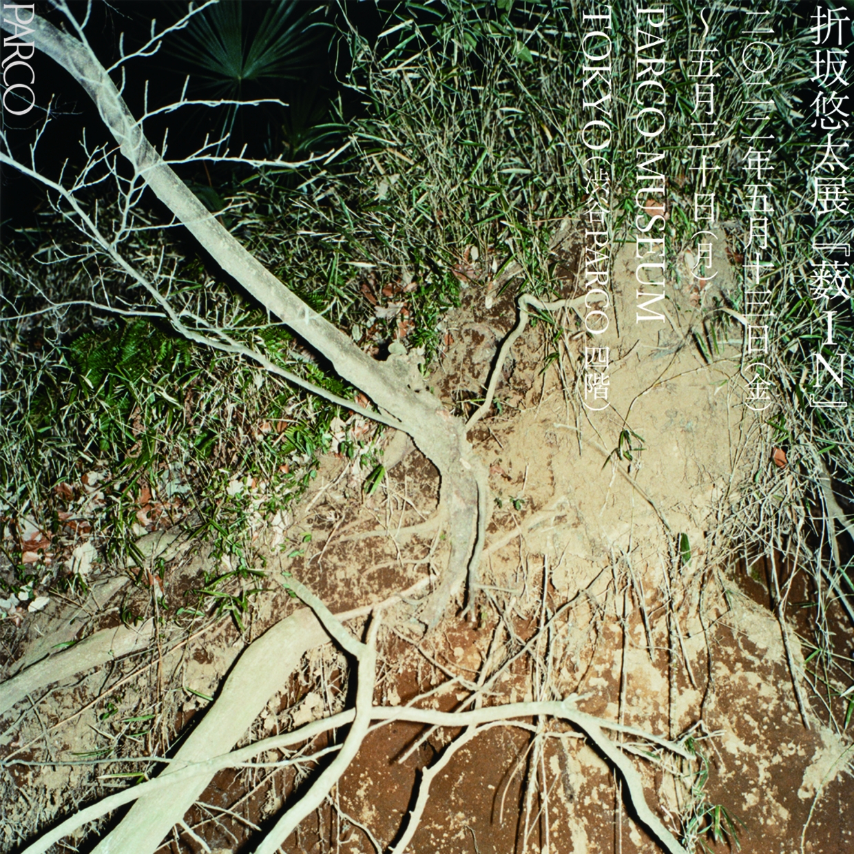 折坂悠太展「薮IN」