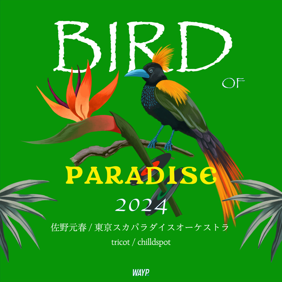 BIRD OF PARADISE