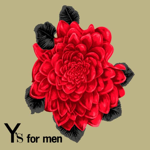 Y's for men