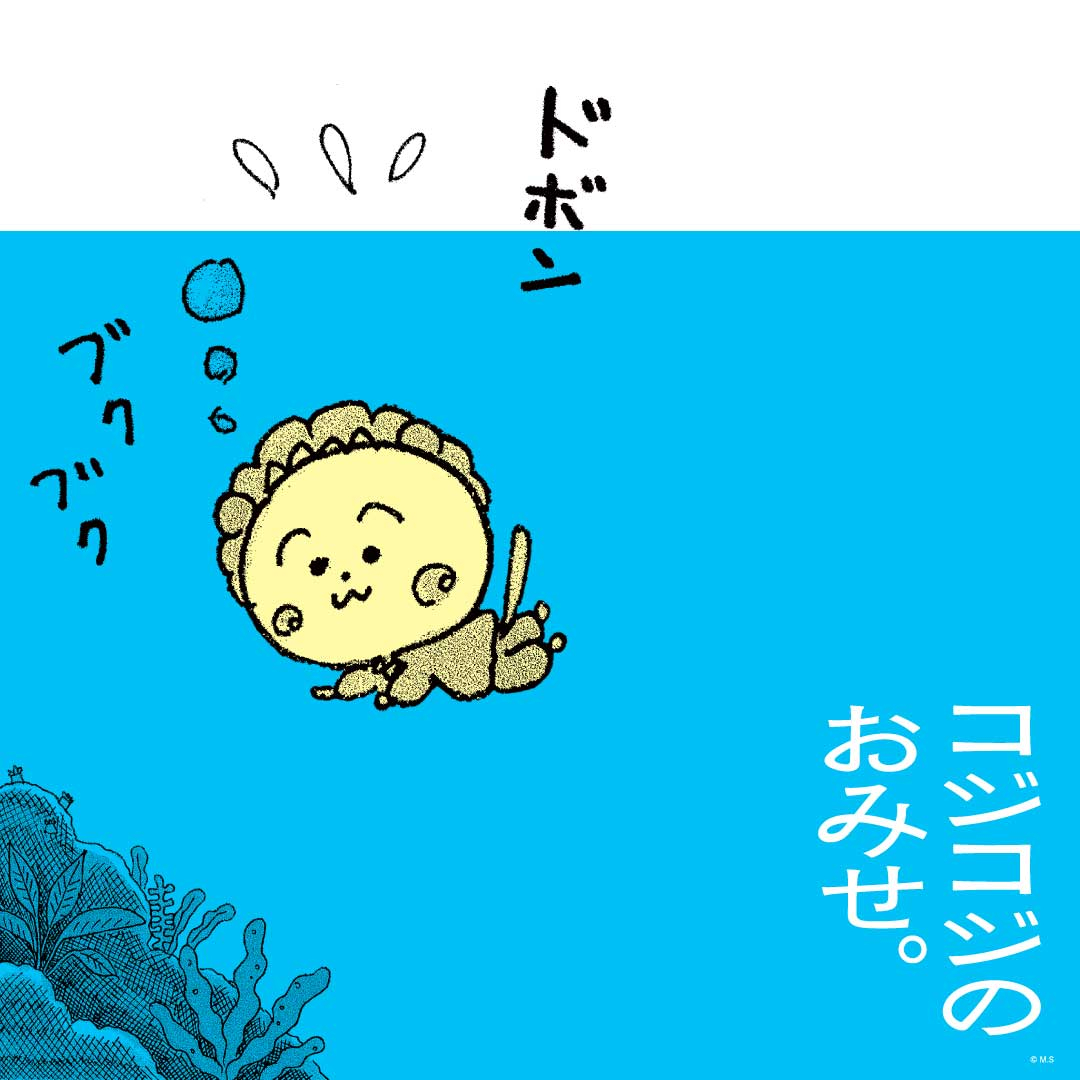 コジコジのおみせ。