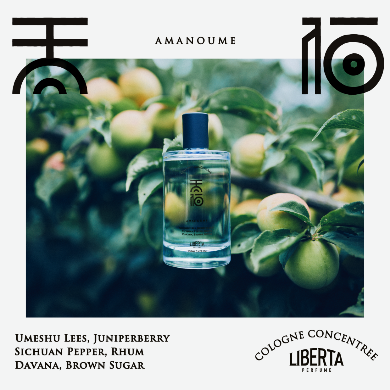 Liberta Perfume