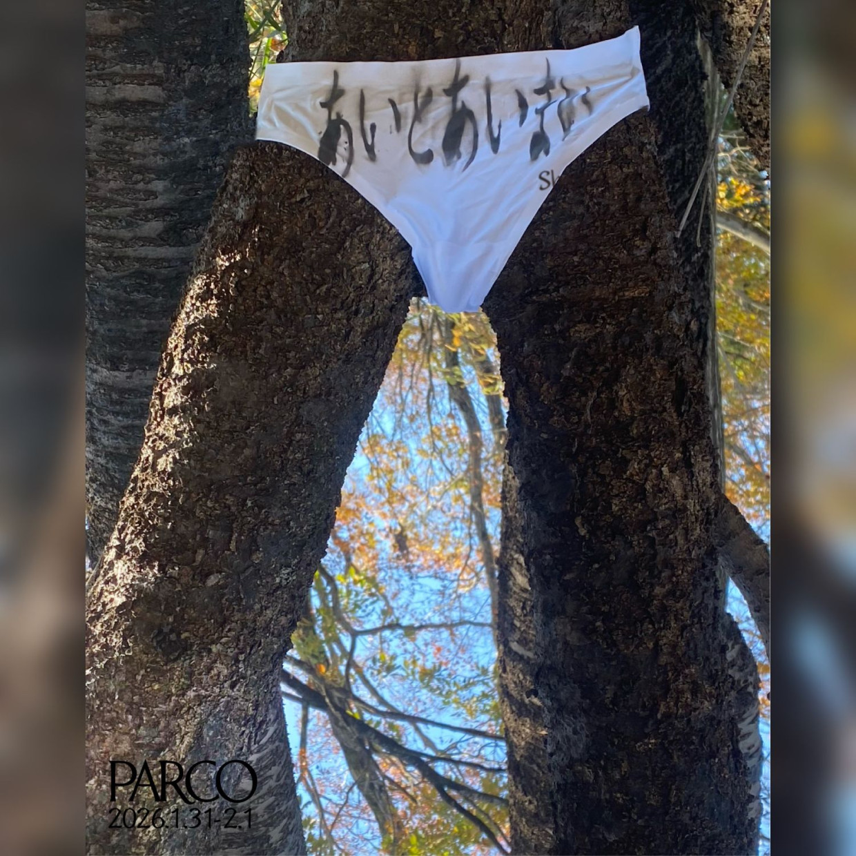 あいとあいまい Shape of ( )